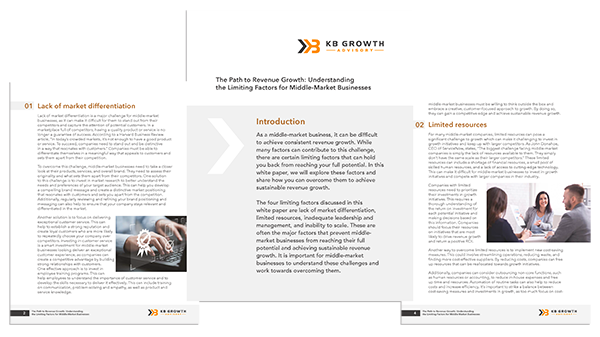 The Path to Revenue Growth The Path to Revenue Growth Image